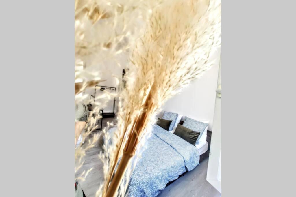 Le Saint Du Vieux Port Apartment มาร์กเซย ภายนอก รูปภาพ